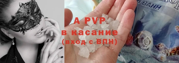 прущие грибы Аркадак
