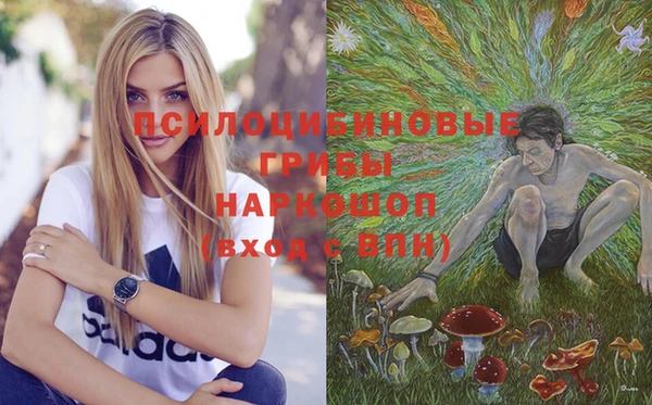 спиды Арсеньев