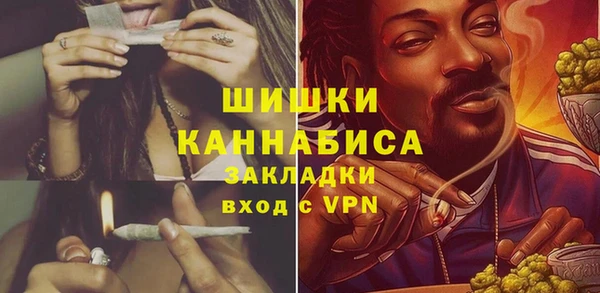 прущие грибы Аркадак