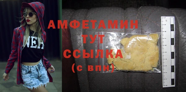 прущие грибы Аркадак