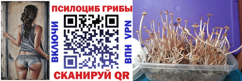 купить наркотик  Спасск-Дальний  Псилоцибиновые грибы мухоморы 