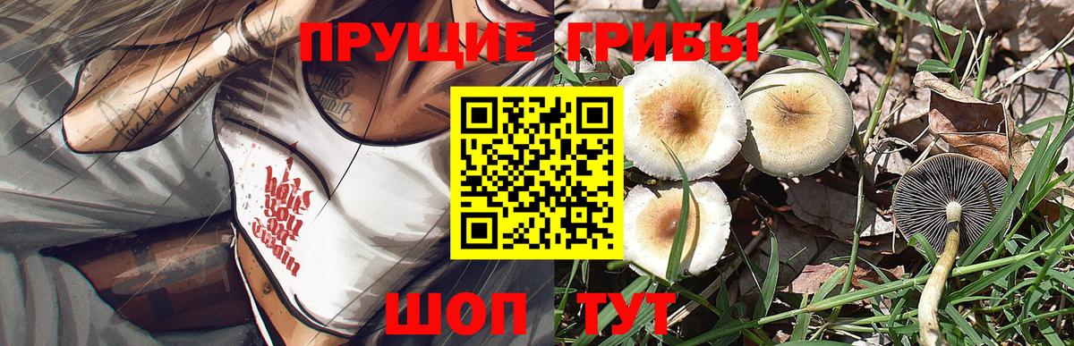 Псилоцибиновые грибы Psilocybe  Вход с VPN  где продают наркотики  Спасск-Дальний 
